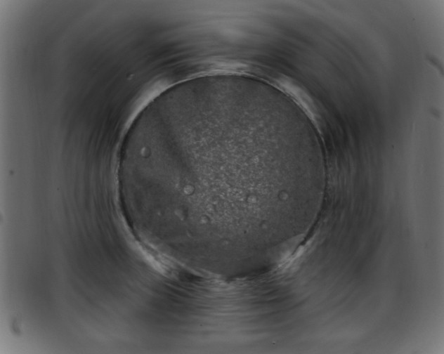 X0000097591235200803071313