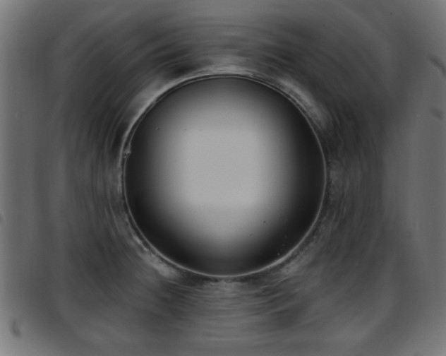 X0000097591236200803071313