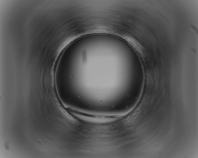 X0000097591238200803071313