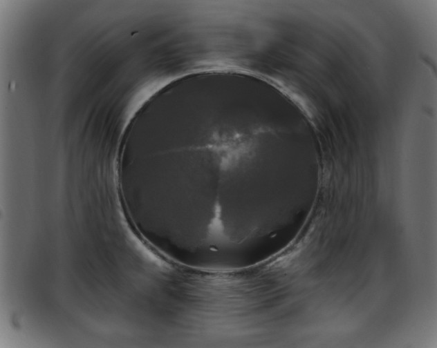 X0000097591239200803071313