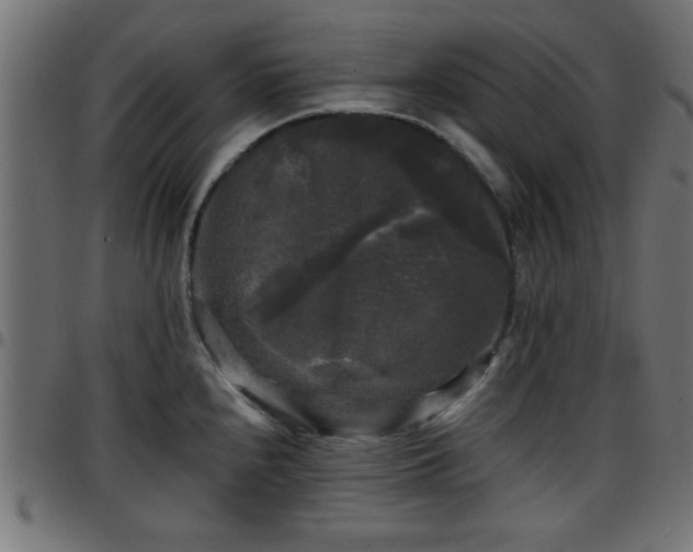 X0000097591240200803071313