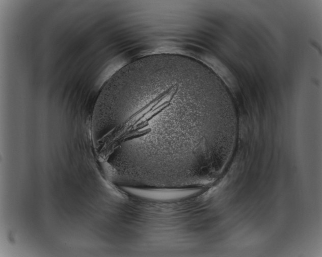 X0000097591241200803071313