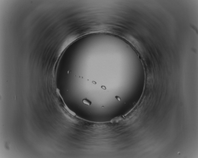 X0000097591242200803071313