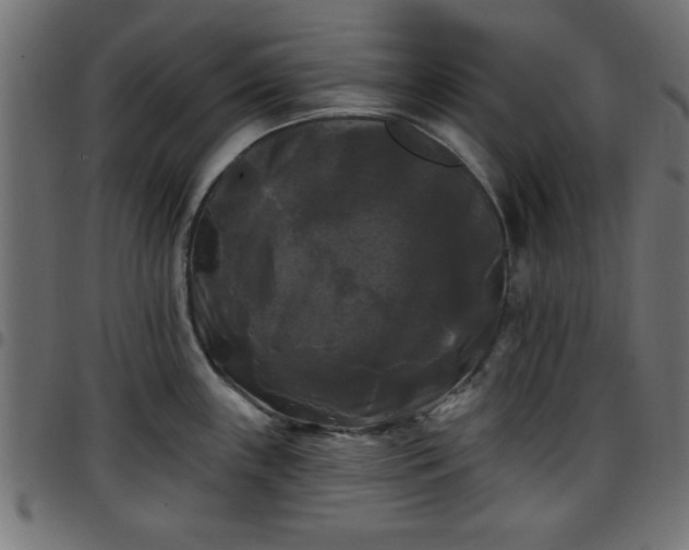 X0000097591243200803071313