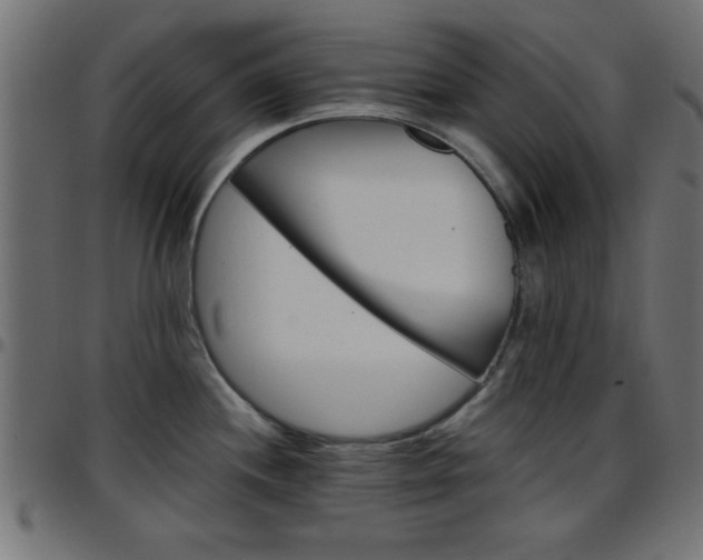 X0000097591244200803071313