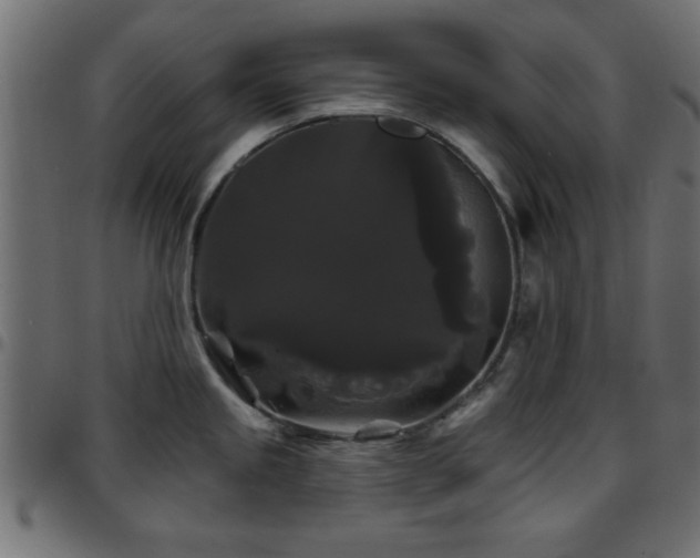 X0000097591245200803071313