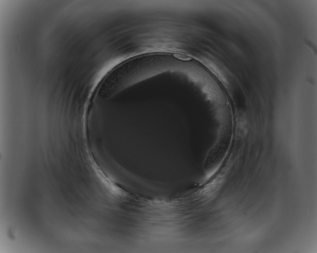 X0000097591246200803071313