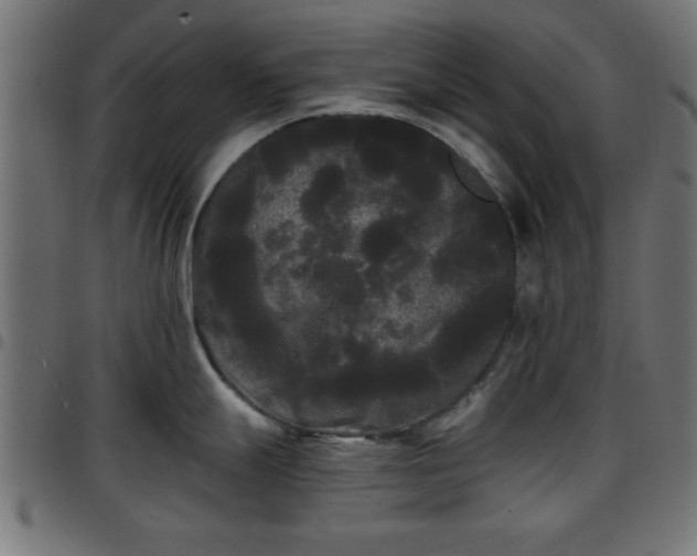 X0000097591247200803071313