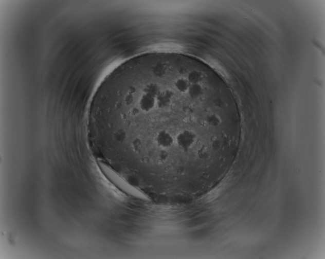 X0000097591248200803071313