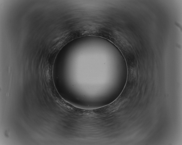 X0000097591250200803071313