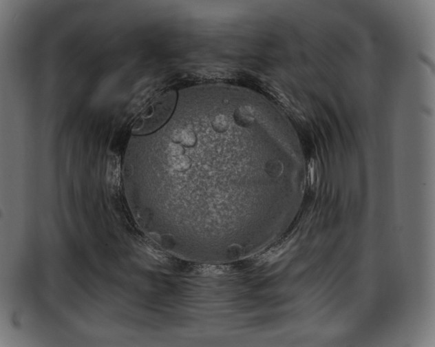 X0000097591251200803071313