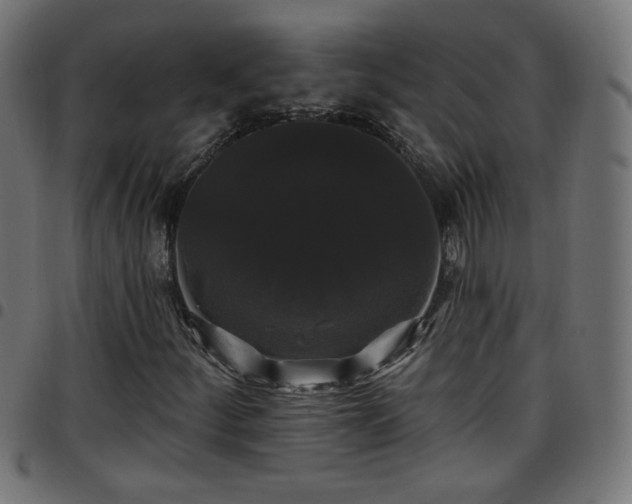 X0000097591252200803071313