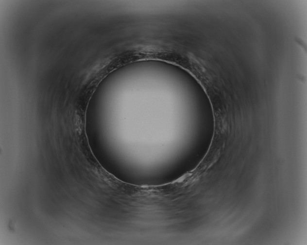 X0000097591253200803071313