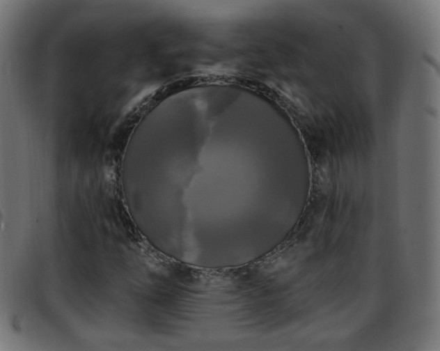 X0000097591254200803071313