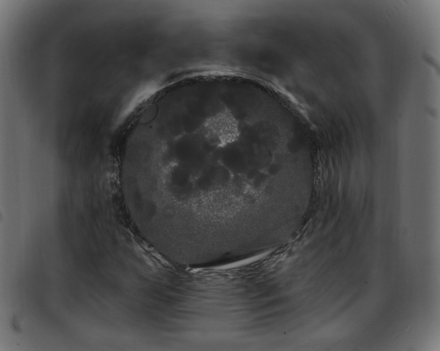 X0000097591255200803071313