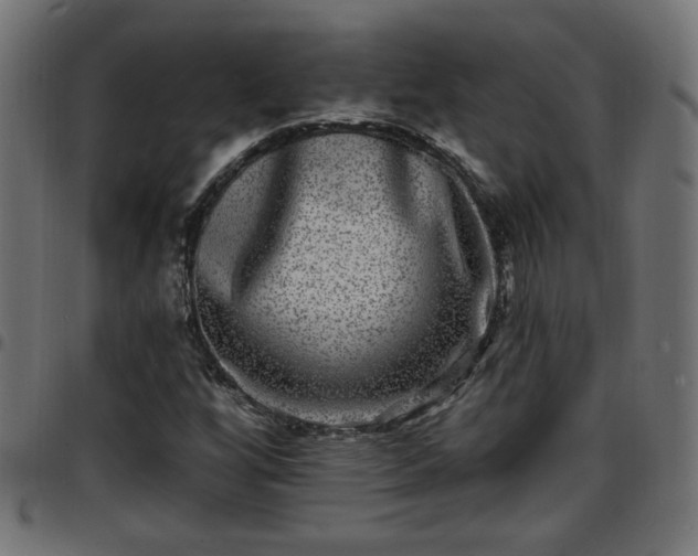 X0000097591256200803071313