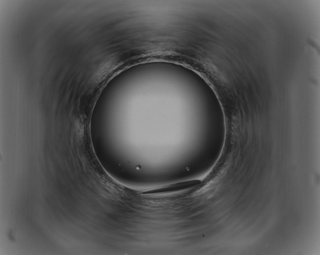 X0000097591257200803071313