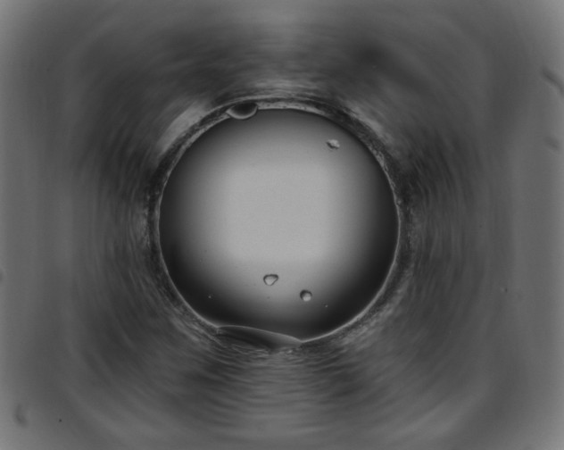 X0000097591259200803071313