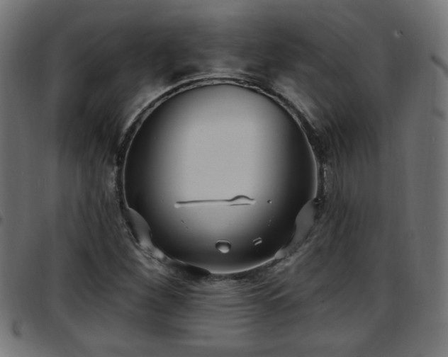 X0000097591260200803071313