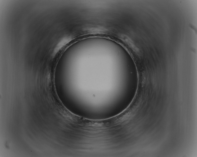 X0000097591261200803071313