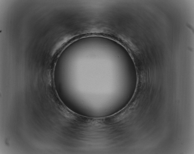 X0000097591262200803071312