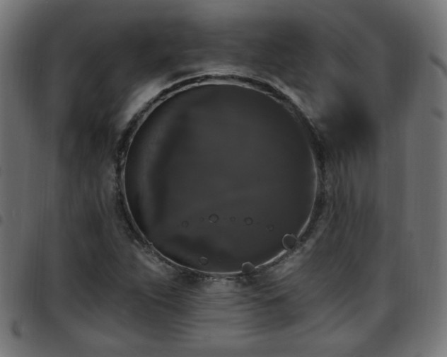 X0000097591263200803071312