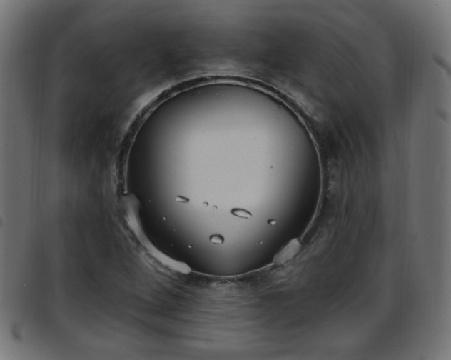 X0000097591264200803071312