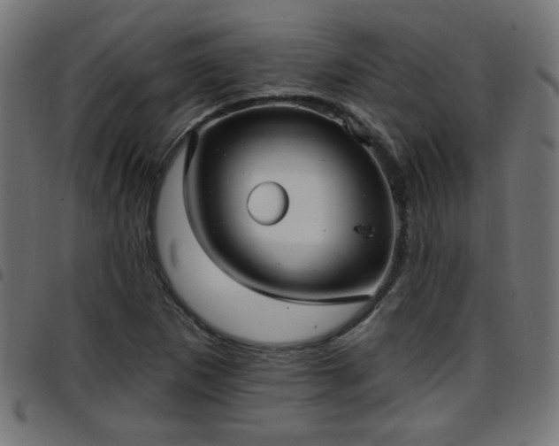 X0000097591265200803071312