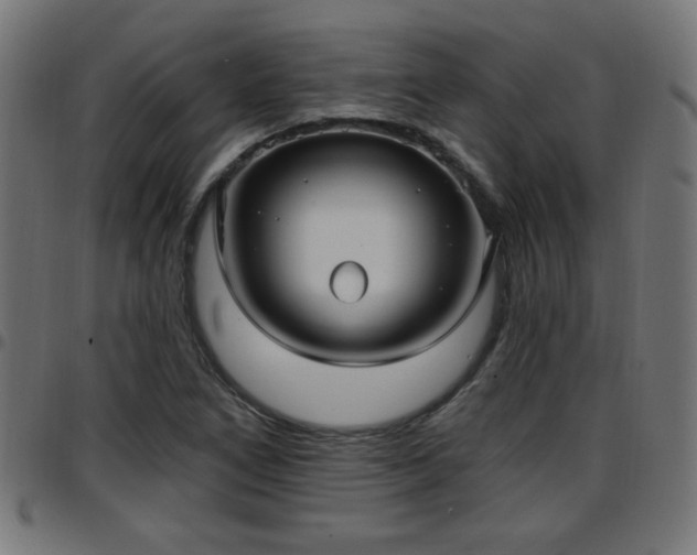 X0000097591266200803071312