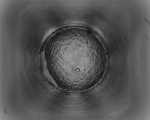 X0000097591267200803071312