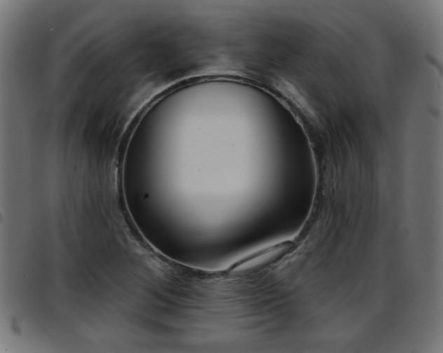 X0000097591268200803071312