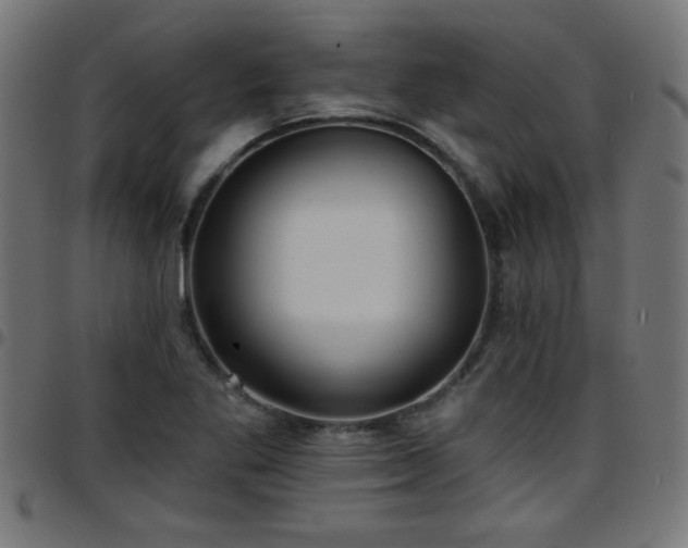 X0000097591269200803071312