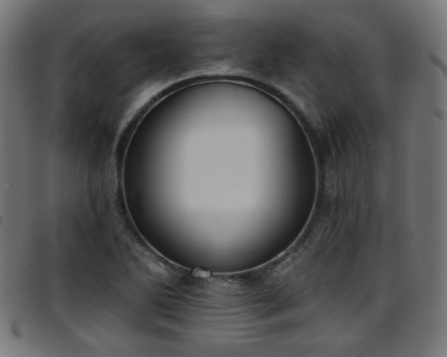 X0000097591270200803071312