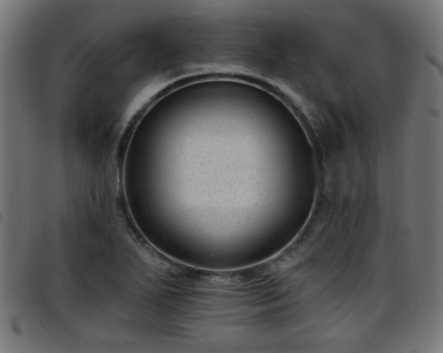 X0000097591271200803071312