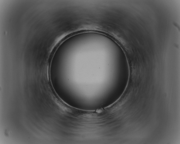 X0000097591272200803071312