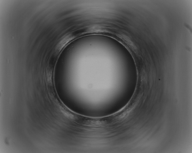 X0000097591273200803071312