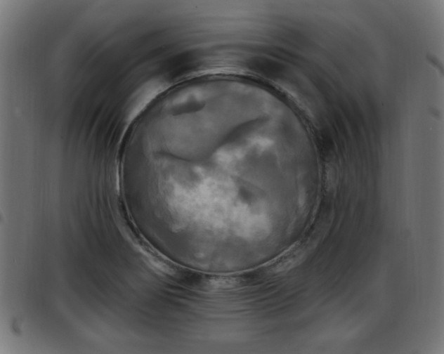 X0000097591274200803071312