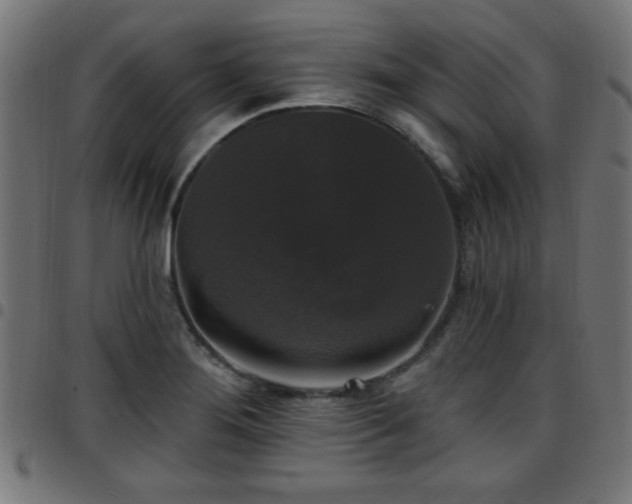 X0000097591276200803071312