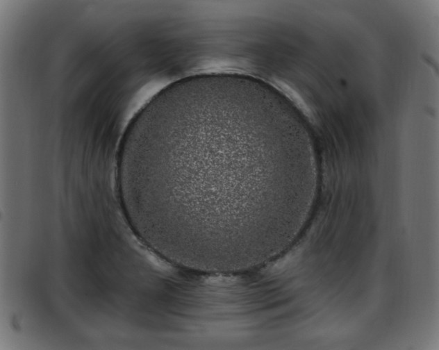 X0000097591277200803071312