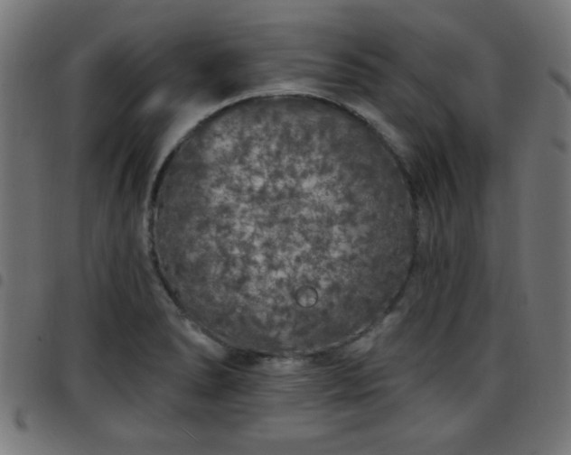 X0000097591278200803071312