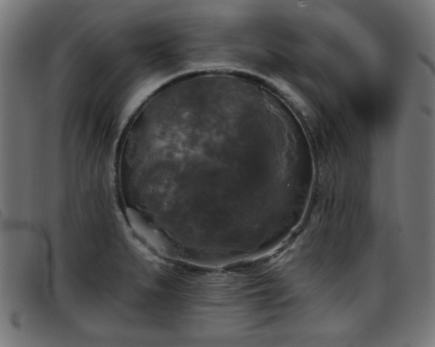 X0000097591279200803071312