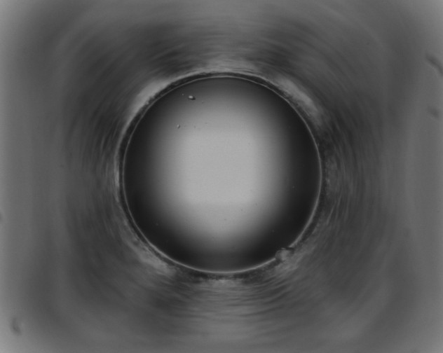 X0000097591280200803071312