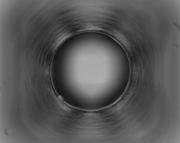 X0000097591281200803071312