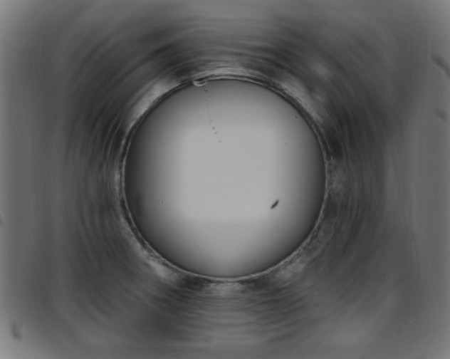 X0000097591282200803071312