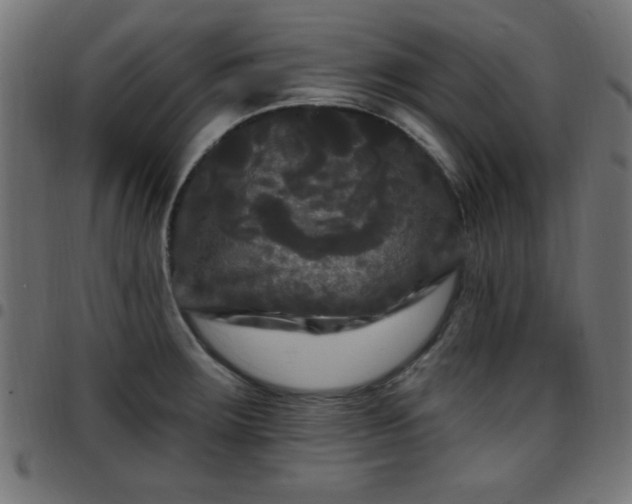 X0000097591283200803071312