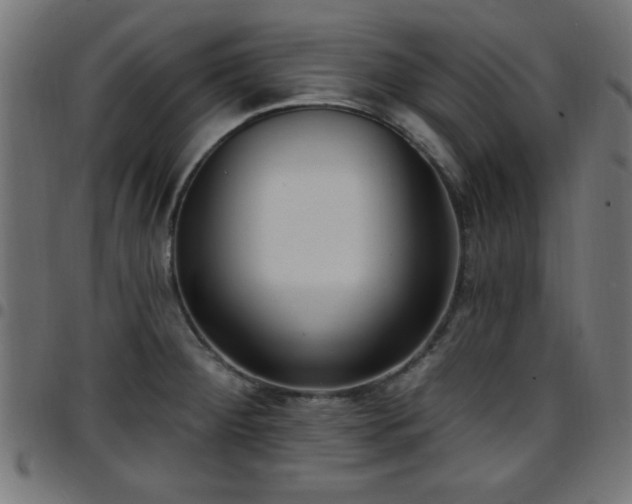 X0000097591284200803071312