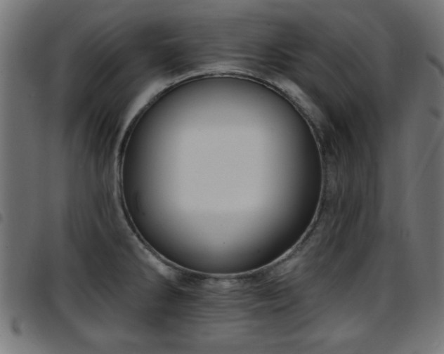 X0000097591286200803071312