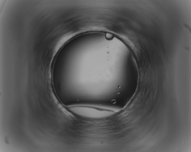 X0000097591287200803071312