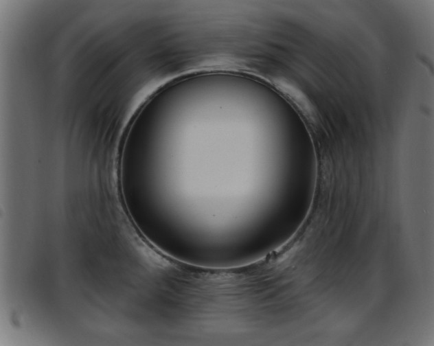 X0000097591288200803071312