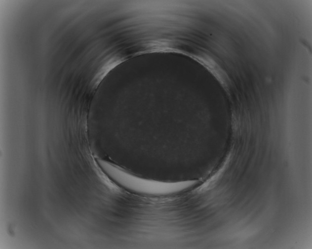 X0000097591289200803071312